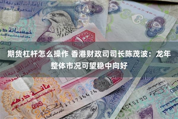 期货杠杆怎么操作 香港财政司司长陈茂波：龙年整体市况可望稳中向好