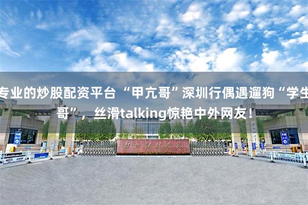 专业的炒股配资平台 “甲亢哥”深圳行偶遇遛狗“学生哥”，丝滑talking惊艳中外网友！