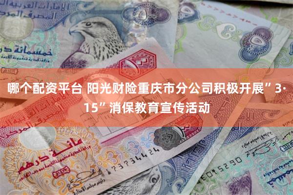 哪个配资平台 阳光财险重庆市分公司积极开展”3·15”消保教育宣传活动