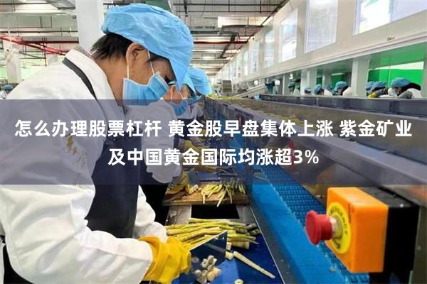 怎么办理股票杠杆 黄金股早盘集体上涨 紫金矿业及中国黄金国际均涨超3%