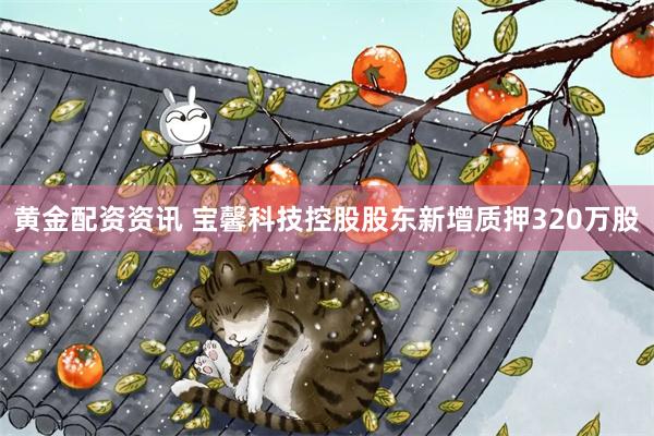 黄金配资资讯 宝馨科技控股股东新增质押320万股
