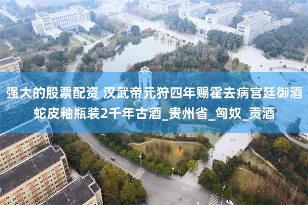 强大的股票配资 汉武帝元狩四年赐霍去病宫廷御酒蛇皮釉瓶装2千年古酒_贵州省_匈奴_贡酒
