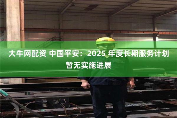 大牛网配资 中国平安：2025 年度长期服务计划暂无实施进展
