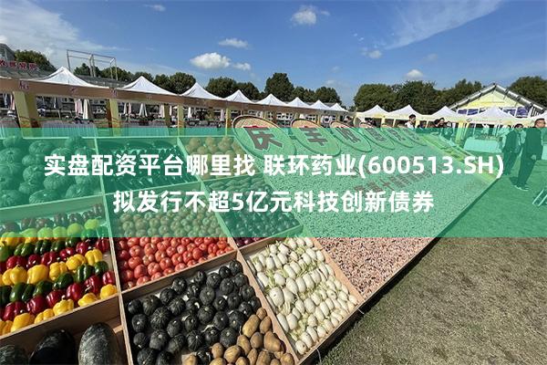 实盘配资平台哪里找 联环药业(600513.SH)拟发行不超5亿元科技创新债券