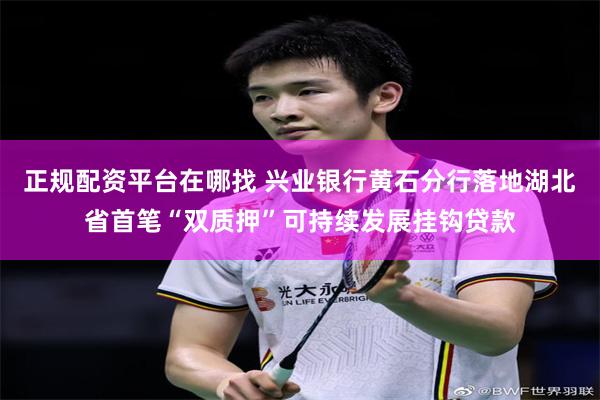 正规配资平台在哪找 兴业银行黄石分行落地湖北省首笔“双质押”可持续发展挂钩贷款