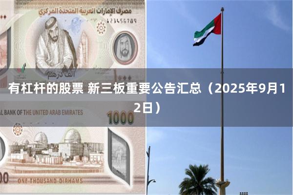 有杠杆的股票 新三板重要公告汇总(2025年9月12日)