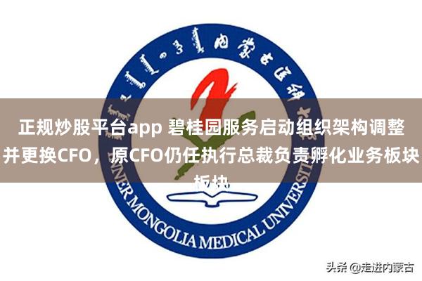 正规炒股平台app 碧桂园服务启动组织架构调整并更换CFO,原CFO仍任执行总裁负责孵化业务板块
